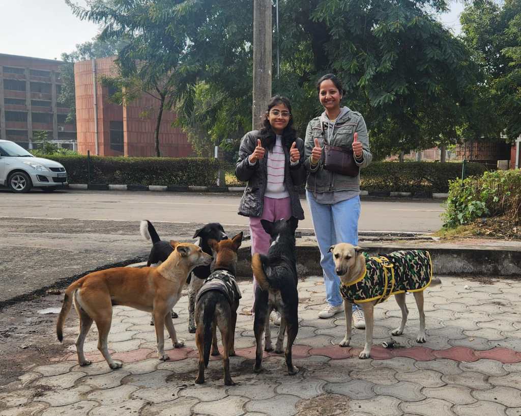 Placing bori-beds in Panjab&nbsp;University