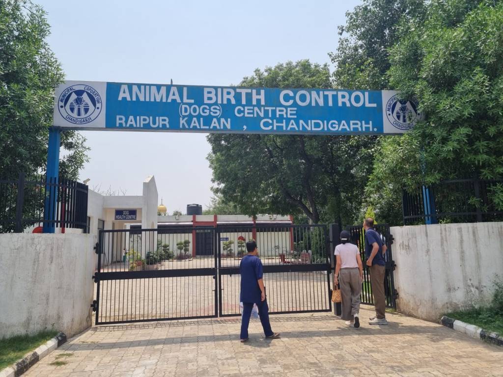 Donating and feeding food at&nbsp;SPCA