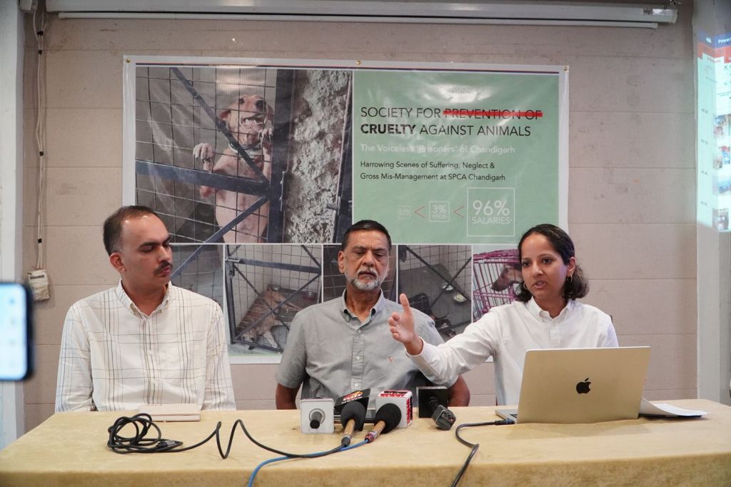 Press Conference held